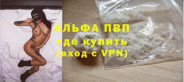 ПСИЛОЦИБИНОВЫЕ ГРИБЫ Майский