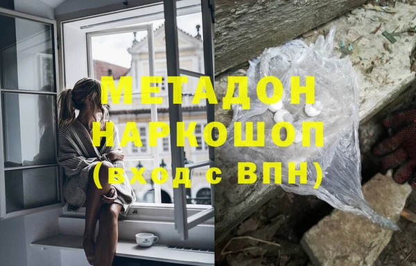 стаф Дубна