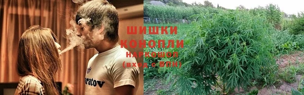 дурь Горно-Алтайск