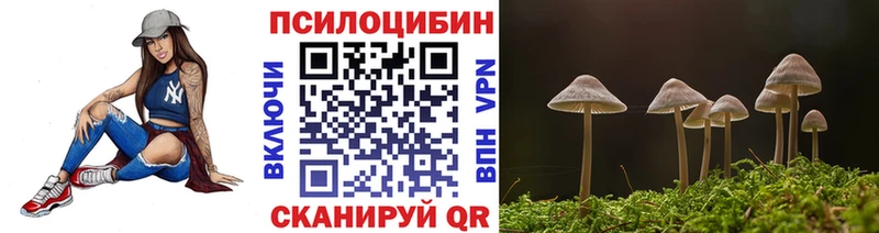 нарко площадка какой сайт  Петров Вал  Псилоцибиновые грибы Cubensis 